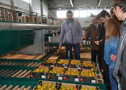 Співпраця університету з підприємствами регіону: перспективи розвитку